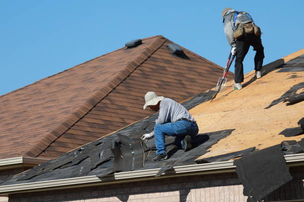 Best Gutter Installation and Repair  in Pine Castle, FL